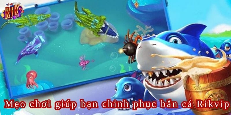 Bí quyết đầu tiên là tận dụng việc cá di chuyển theo đàn